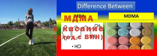гидра Нестеровская