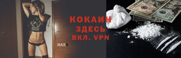 гидра Нестеровская