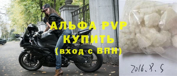 гидра Нестеровская